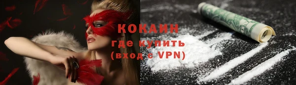 прущие грибы Липки
