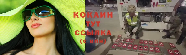 соль ск Лабытнанги