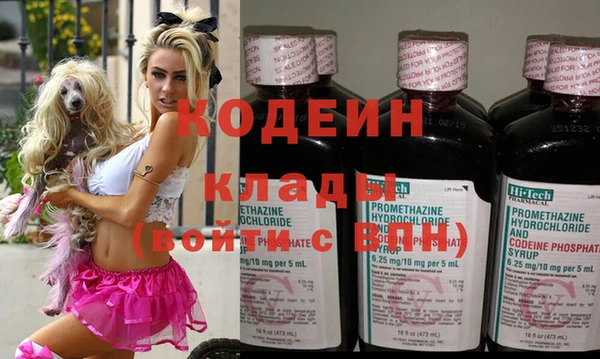 прущие грибы Липки