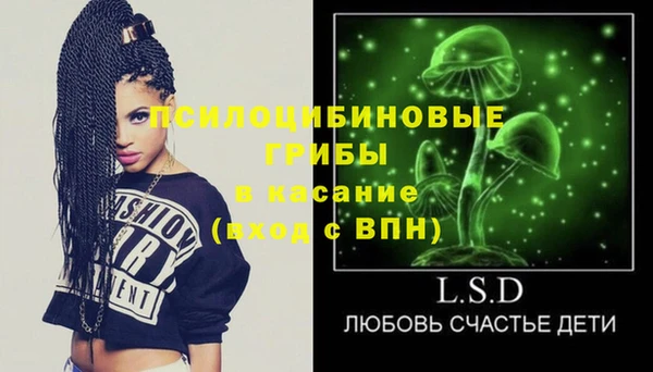 соль ск Лабытнанги