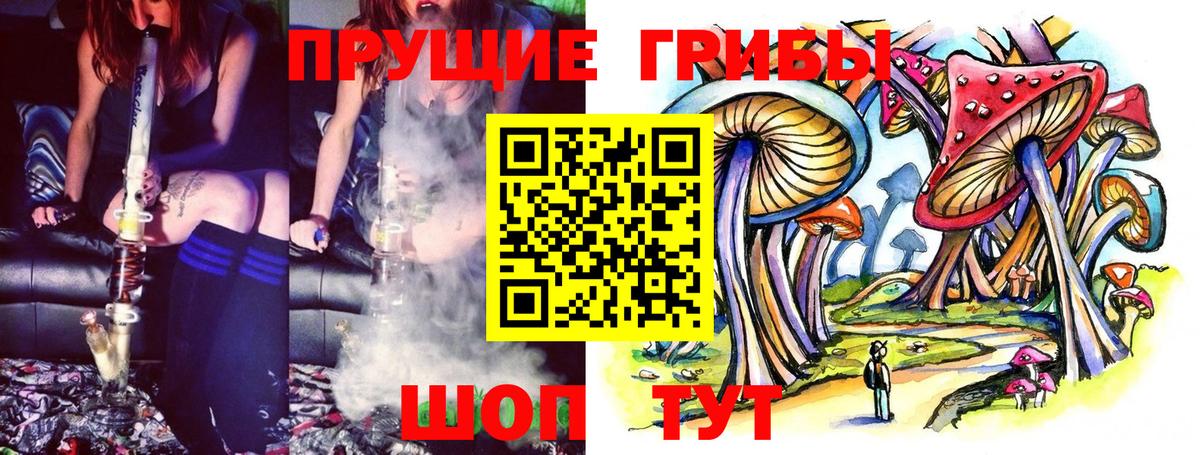 Партизанск  Псилоцибиновые грибы Psilocybine cubensis  Вход с VPN 