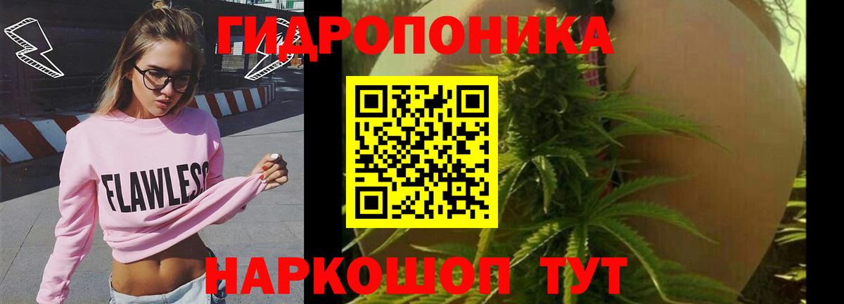 Бошки Шишки AK-47 Партизанск